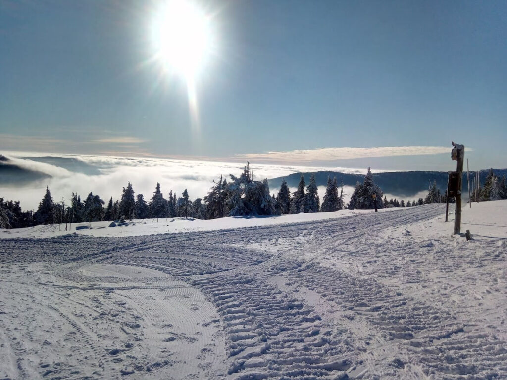 IMG_20200107_124619_3